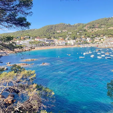 1 Past2 - Vila Llafranc
